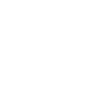 Heavy Taser