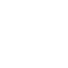 Mama Seagull