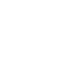 Octagon