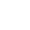 Seagull