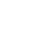 Tsunami